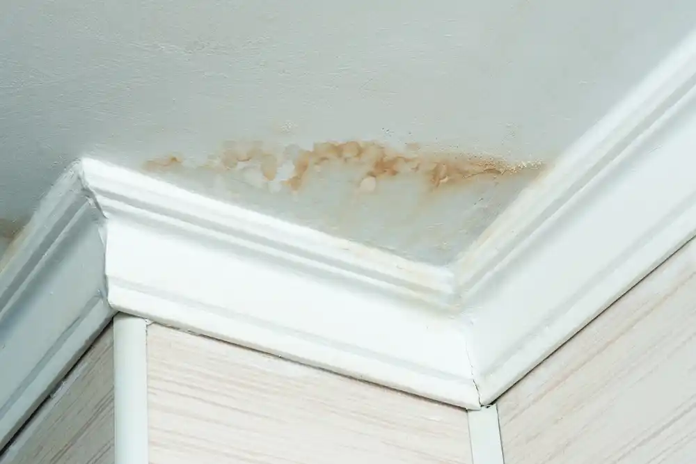 Water stains and dampness on a ceiling