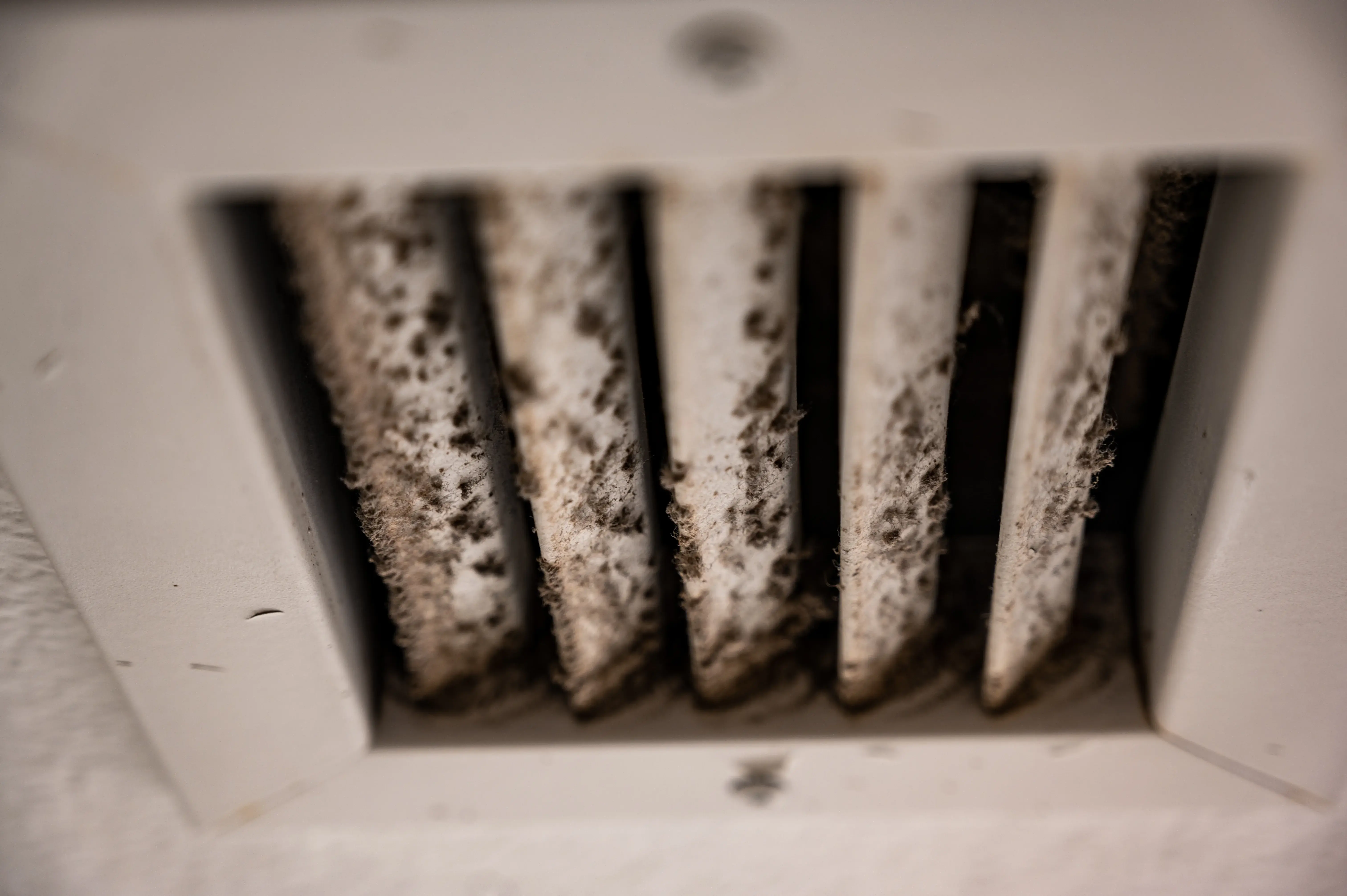 Dark spots and mold around an air vent