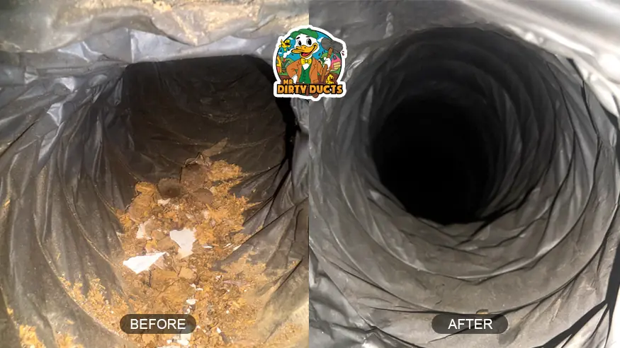 before_after_2