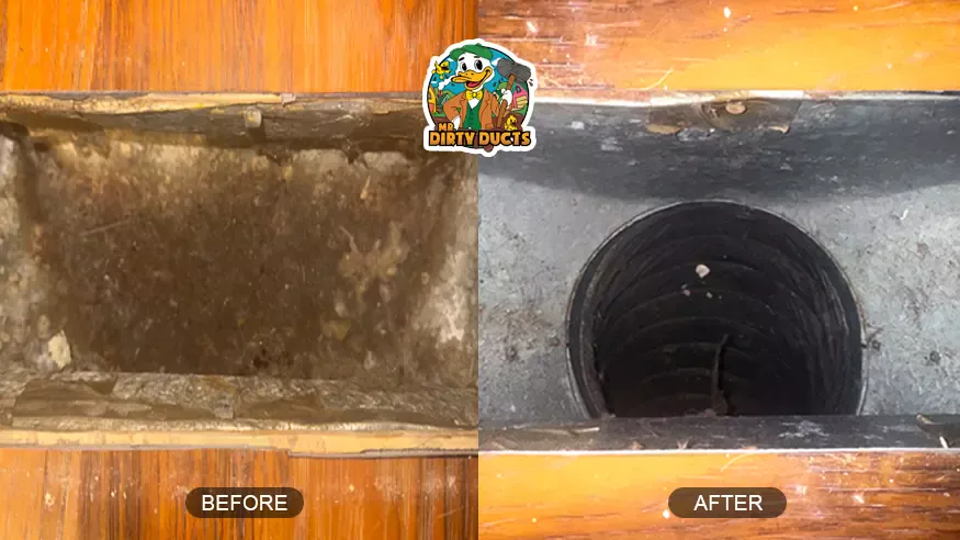 before_after_3