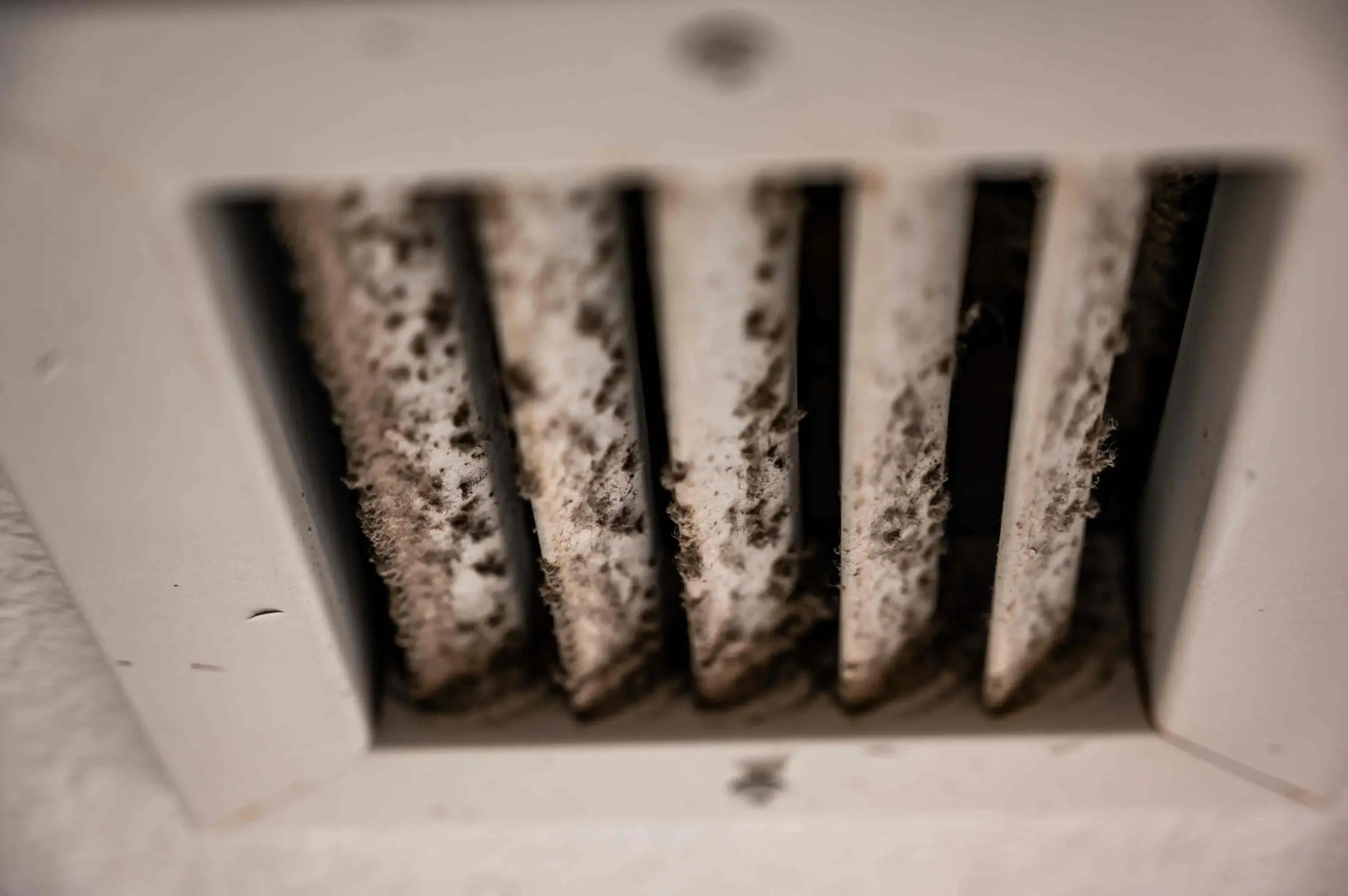 Mold growth inside an air duct being treated and removed