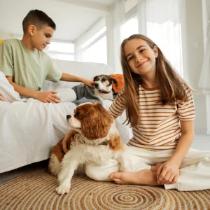 Why Dryer Vent Cleaning is Essential for Homes with Kids and Pets